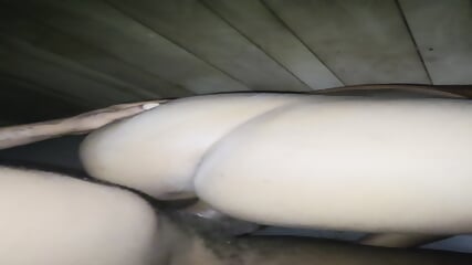 Bounce Dat Phatazz On BBC