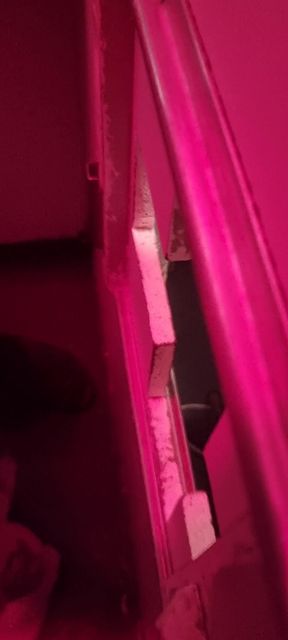 Wife sucks cock in glory hole
