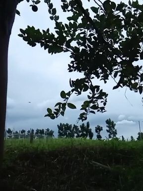 Mabilisang Jakol Sa Bukid - Filipino Outdoor Masturbation