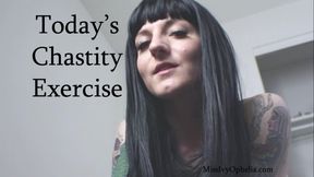 Today's Chastity Exercise