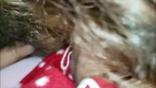 جارتي المكناسية حارة فالحواى