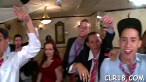 Unveil Those Curves, Tigers! Tatted, Jessy Milfs &amp; More