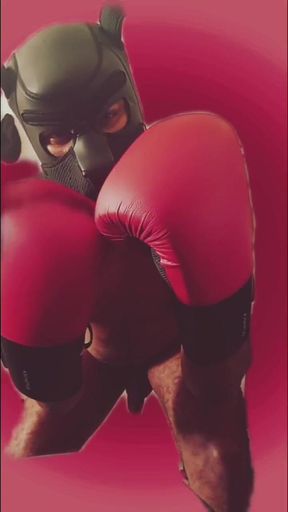 Black Brazilian BBC Fucker