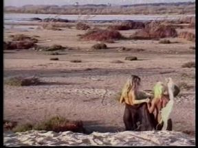 Blonde lesbians lovers lick each other on the sandy beach - Vintage video- No audio,but music