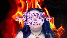 Succubus Lets You Out of Chastity (wmv)