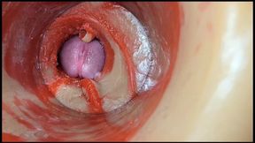 Compilation Creampie Part 2 POV