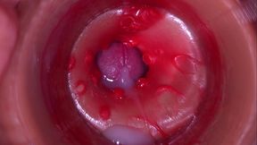 Camera in Vagina, Cervix POV, &quot_Creampie&quot_ 4k