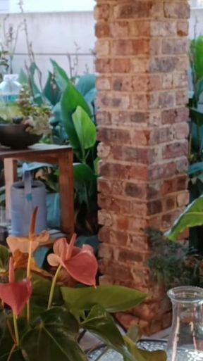 Outdoor fun with my neighbours cuckold wife   Clip 1