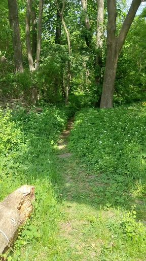 Outdoor public chastity anal dildo horny straight guy