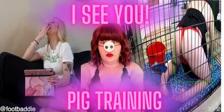 I see you! pig training
