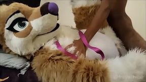 FreyaShibe - Missionary