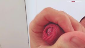Gloryhole Teacher Trains Me How to Swallow