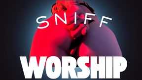 Sniff and worship my ass