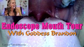 Endoscope Mouth Tour - Goddess Brandon - HD 720 MP4