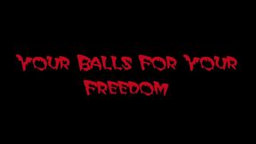 Your Balls For Your Freedom