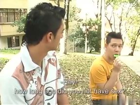 Gay Tube Porn - Bareback Heaven