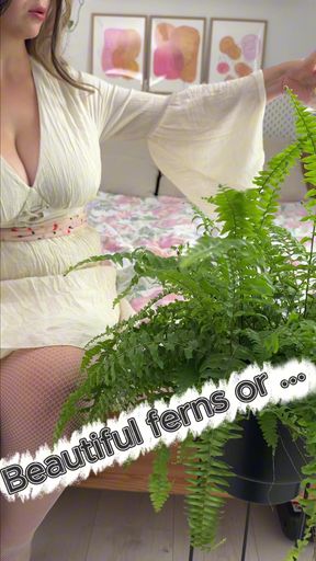 The lady of the house cares for her ferns as she does for her big body.