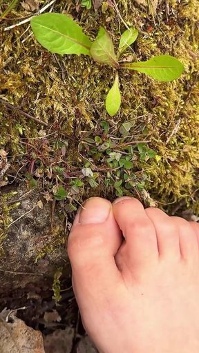 Barefoot Walk in the Forest - Foot Fetish - Bare Feet!