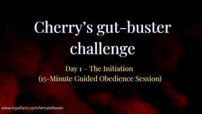 Gutbuster challenge - 15 min training session