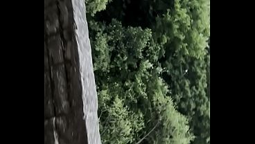 E o Grand&atilde_o desbravamos a floresta e encontramos um ninho de trepa