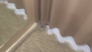 Deepthroat Blowjob in Fitting Room - Swallows Cum in Store