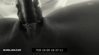 Pulsating Creampies Compilation