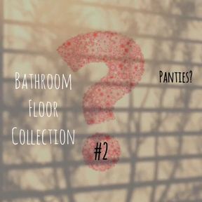 Bathroom Floor Collection #2