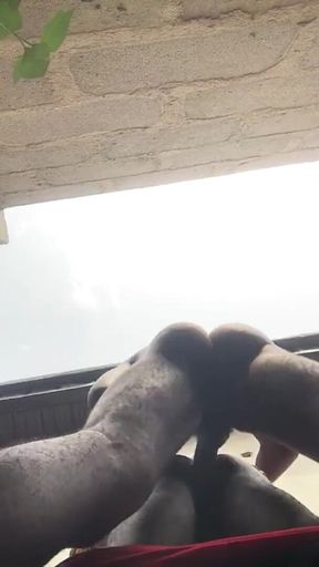 Doggy Bareback Below View