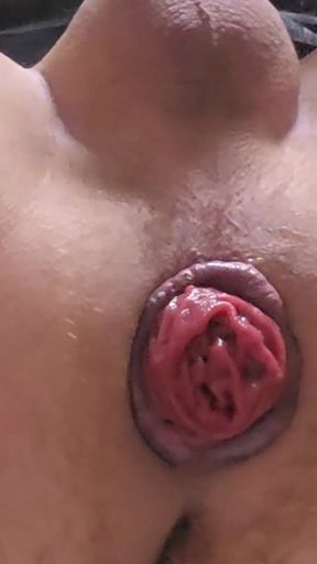 le king / Gay Hot xxx   Clip 1