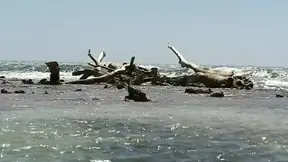 Lewd Anal Sex with Beautiful Glamour