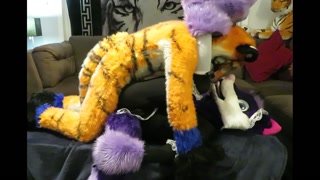 Tiger Tops Wolf