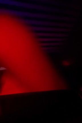 Peterfever Hustlaball Live