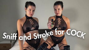 Sniff n Stroke for COCK