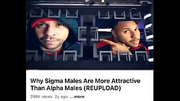 Why sigma males or more attractive than alpha (stay tone)
