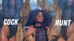 COCK HUNT