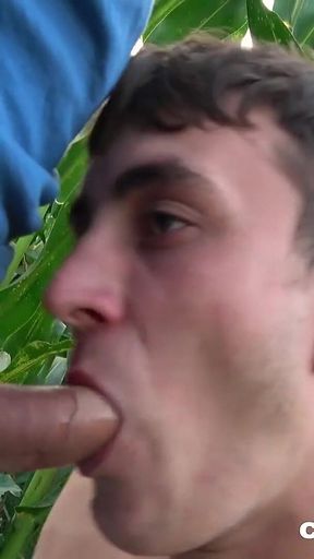 Great Fuck in Corn Field - Clubbangboys