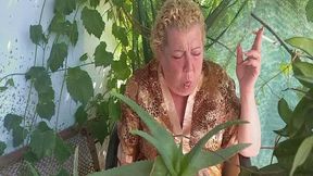 Tobacco cough in nature MP4