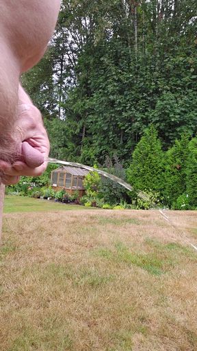 Morning Showers