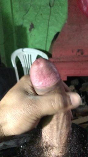 Mirror, Mirror on the Bed, Who in the Land Is Fairest of All?