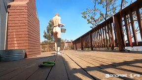 Deck Cleaning