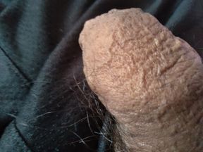 giant gay cock looks wonderful