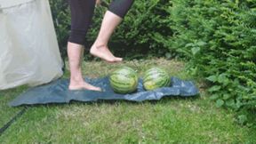 Sneaker-Girl Darleen - Big Melon Crush