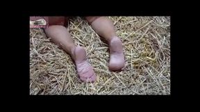 A Lesbian Slave in Haystack 1 - View