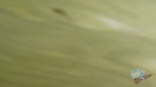 Naked In Public: Sandy Tits