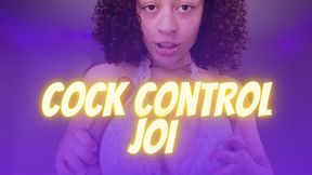 I Talk, You Stroke - Cock Control JOI [Voiceover Audio]