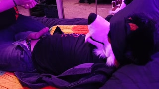 Caged puppy gets tied up, blindfolded, and teased