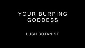 Your Burping Goddess