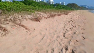 RISK NANO BIKINI NAKED BUTT ANAL PLUG II