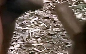 Fucking trio in a forest