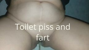 Toilet piss and fart